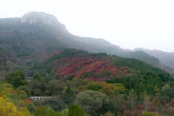 银铺子配资 赏红叶游古城，周末近郊游迎来小高峰