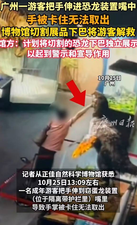 同花配 成年游客参观广州一博物馆时把手伸进恐龙模型嘴中被卡住，切掉恐龙下巴才解救，馆方计划将下巴独立展示